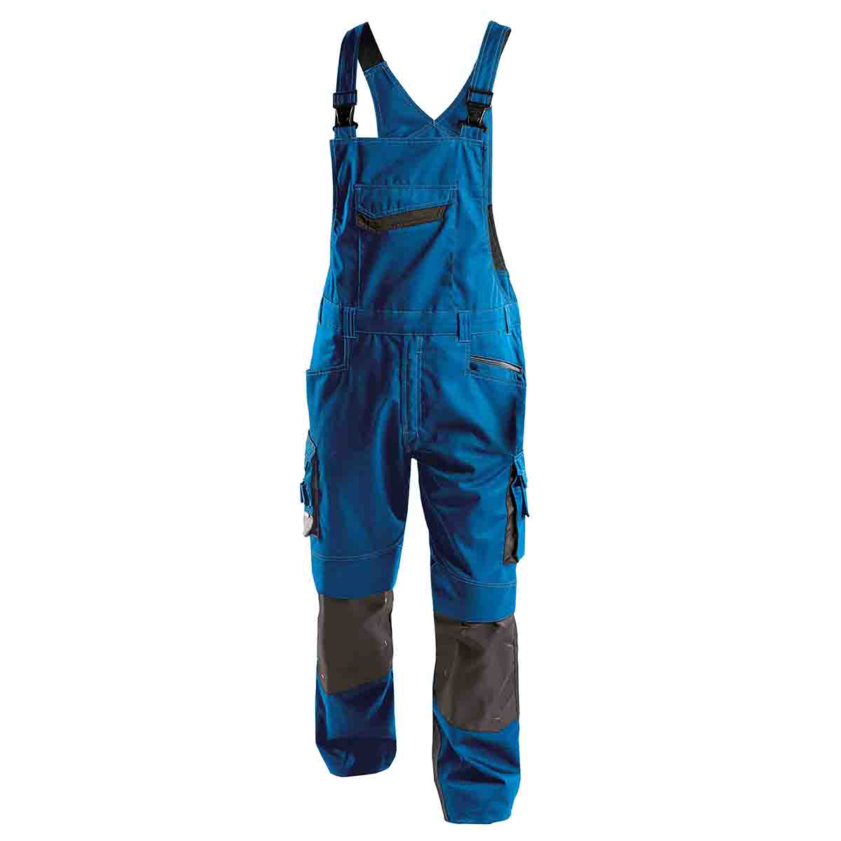 Overall model Voltic